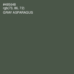 #495648 - Gray Asparagus Color Image